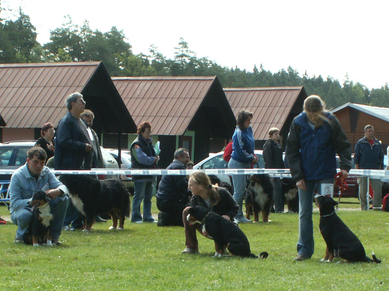 kliknutím se zave : push-up = close