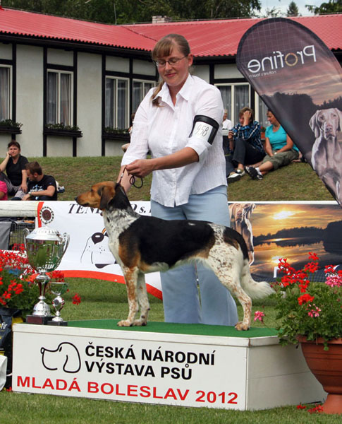 kliknutím se zave