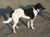 3. roky